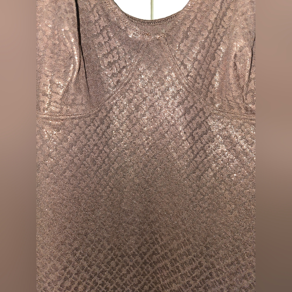 NWT SKIMS Logo Mesh Foil Cami Dress - Picture 9 of 10